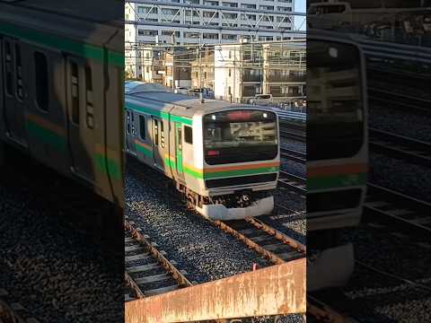 [湘南新宿ライン]E231系で試し撮り！