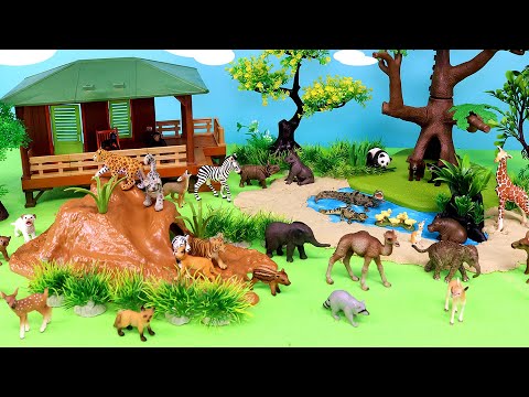 Safari Baby Young Animals  - Fun Facts for Kids