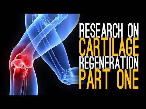 Cartilage Regeneration with Dr. Zeng [Part 1]