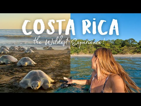 Travel Vlog | the CRAZIEST wildlife experience!