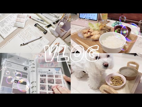 【vlog】韓国語の勉強やパソコン作業💻料理をした半日のvlog🤎久しぶりのお休みを家で満喫した半日