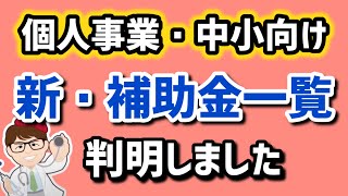 個人事業・中小企業向け補助金・これから始まる補助金制度の名称・情報が判明・小規模事業者持続化補助金・ものづくり補助金・IT導入補助金・事業承継引継ぎ補助金【中小企業診断士マキノヤ先生】第1972回