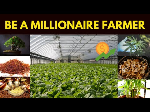 10 AGRICULTURE and FARM Business to Become RICH | Watch This to get success (Ideas Around the World)