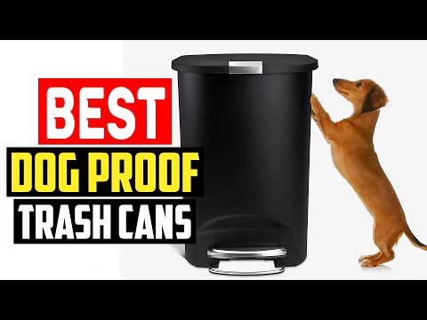 ✅ Top 5 Best Dog Proof Trash Cans in 2023