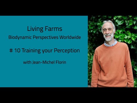 #10 Training your perception