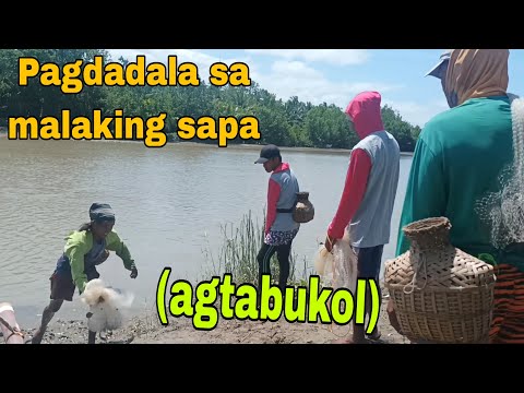 Pagdadala (agtabukol) sa malaking sapa , tayo na mga ka Farmer's.