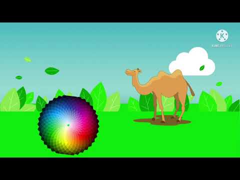 Learn The ABC’s: C is for Camel