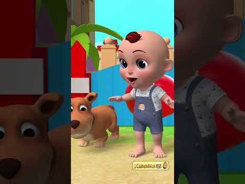 The Pet song | Cute pet song | #popular #shorts #viral