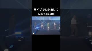 ライブでもネタをかましてしまうDa-iCEw#shorts #スターマイン