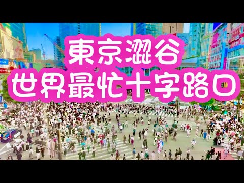 漫遊東京：去涩谷看世界最繁忙的路口、看一次绿灯走过几千人的盛况，画面出现在多部影视剧里/The world's busiest intersection