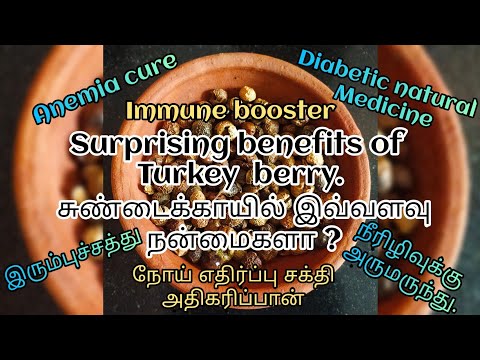 fantastic Health benefits of turkey berry/immune booster/சுண்டைக்காயின் நன்மைகள் பயன்கள்/ பலன்கள்.