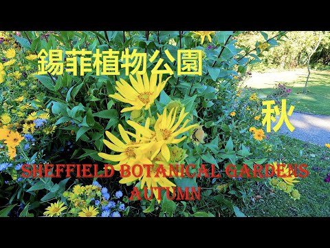 錫菲植物公園 – Sheffield Botanical Gardens – 秋天景色 – autumn view ｛旅遊篇 travelling｝