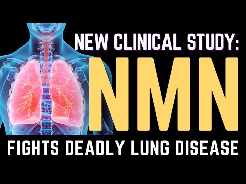 NMN beats silicosis, a deadly lung disease: 2023 study