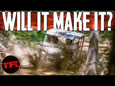 Can You Have Fun On The Trail In a Utility SxS? -  2022 Honda Pioneer 1000 Trail and Forest Edition