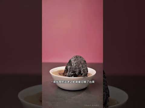 科普百遍，不如自己亲自动手验证一遍 #science #科学 #cute #科普 #發明