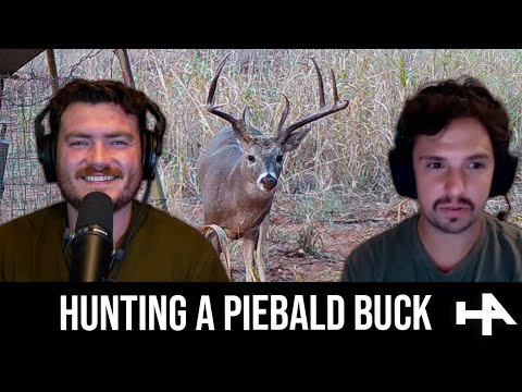 Cold Fronts & Piebald Bucks | Hunt Talk Ep20