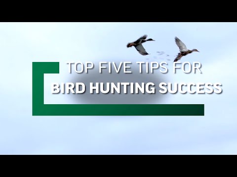 Top Five Hunting Tips For Bird Hunting Success