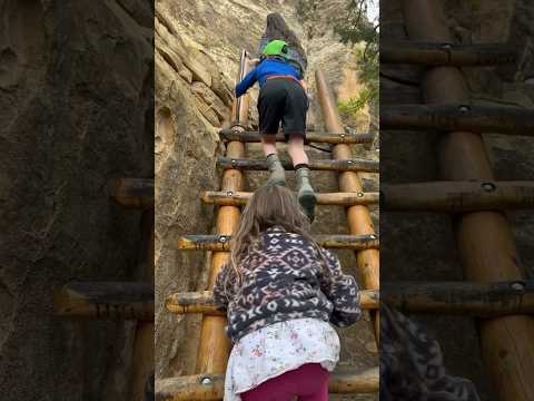 Cliff Palace Tour in Mesa Verde National Park. #homeschoollife #homeschoolfieldtrip #homeschool