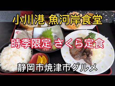 【小川港 魚河岸食堂】焼津の美味しいがいっぱいの食堂！旬のさくらえび