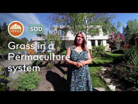 Incorporating Grass in your Permaculture Garden or Yard | Grass isn't ALL Bad