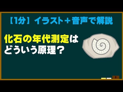 【1分】  化石の年代はどうやって調べるの？  【ためになる身近な科学】