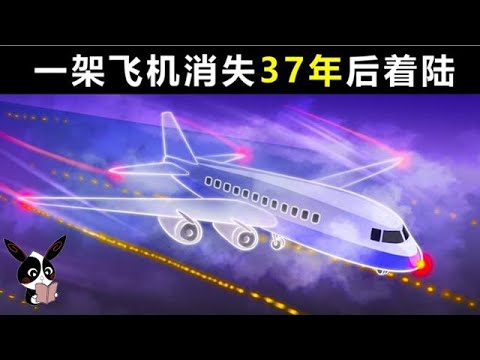 一架飛機突然消失37年後著陸