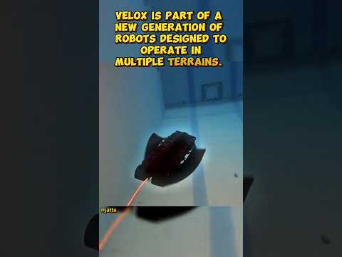 Velox amphibious Fish 🐟?? #shorts #robot #viral