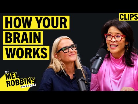 All About The Human Brain Feat. Neuroscientist Dr. Suzuki | Mel Robbins Clips