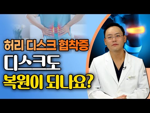 허리 디스크, 협착증으로 손상된 디스크 복원이 가능할까? - 제애정형외과 서희수 원장 7회 #허리디스크 #허리협착증 #허리통증 #허리운동