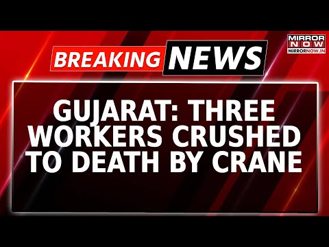 Watch: Three Workers Die In Crane Collapse At Jetty Site In Gujarat's Dwarka | Breaking News