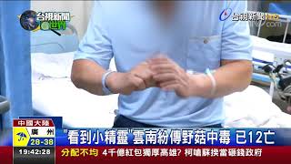 看到小精靈 雲南紛傳野菇中毒 已12亡