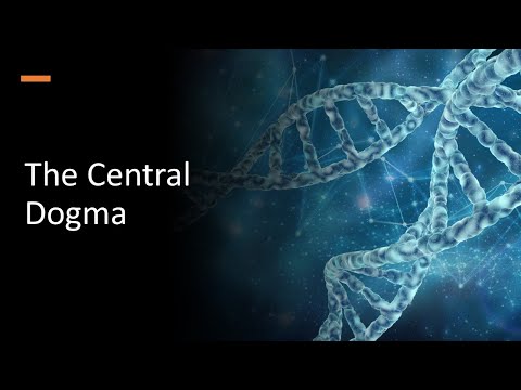 The Central Dogma