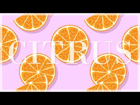 【CITRUS】練歌成功！（原key+2）【早苗SANAE】