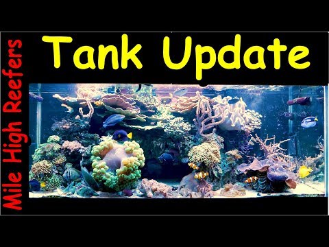 Reefing Update 8 5 18