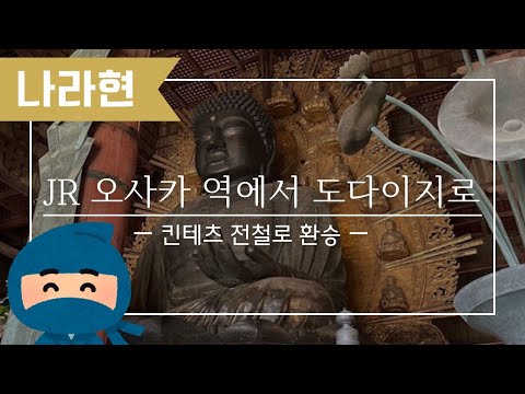 【나라 도다이지로 가는 방법】오사카 역에서 나라의 도다이지 까지의 길 안내 | 일본의 벚꽃 만개! 유명한 대불까지의 풍경