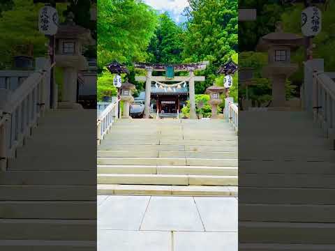 日本は美しい Japan is beautiful #日本 #japan #神社 #japantravel #shorts