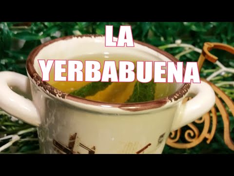 La yerbabuena o hierbabuena y sus beneficios.