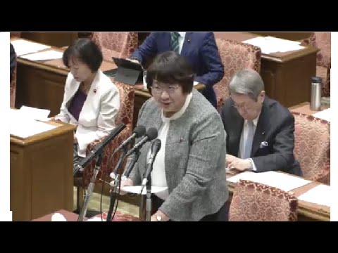 高橋千鶴子　2023年11月14日　衆議院・地域・こども・デジタル社会形成に関する特別委員会