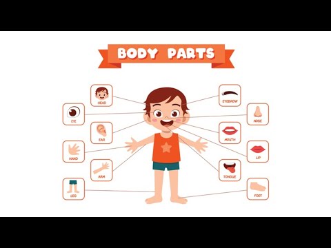 PARTS OF BODY Song||children educational video//Nursary Rhymes