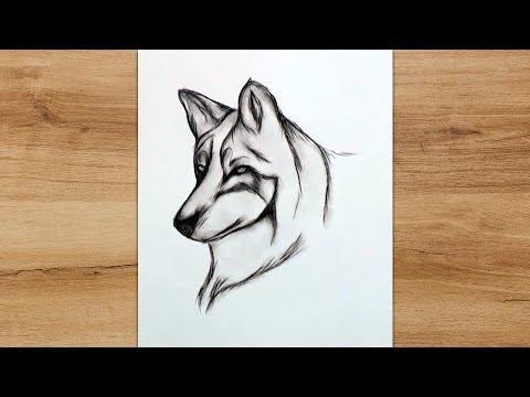 Easy Way to Draw a Wolf Head for Beginners | Pencil Drawing Tutorila