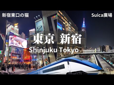 【Japan】A night at Shinjuku, Tokyo & Getting to Shinjuku from Narita Airport by Skyliner Express