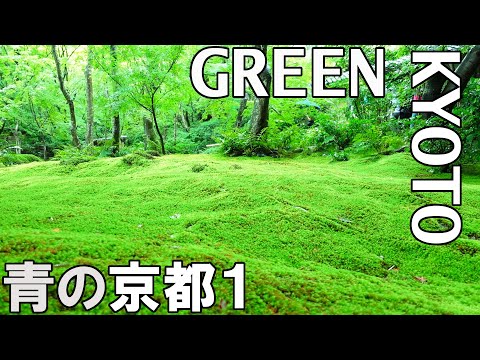 Green Kyoto Japan