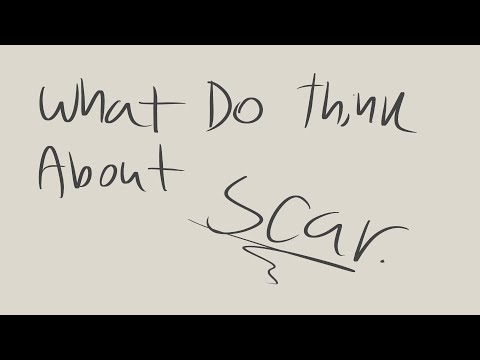 What does boatem think of scar? (Hermitcraft 8 animatic)