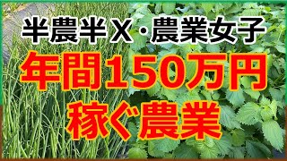 【半農半X】農業女子が年間150万円稼ぐ農業　～おまけコーナー～東京産の野菜の話