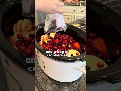 CrockPot Potpourri DIY Homemade Potpourri | Christmas Simmer Pot Recipe | Stovetop Potpourri How To