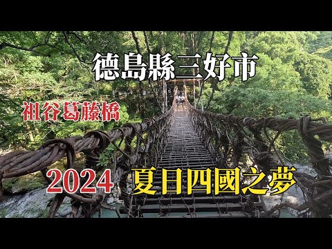 2024夏日四國之夢｜德島三好｜祖谷葛藤橋 @ H.Y.