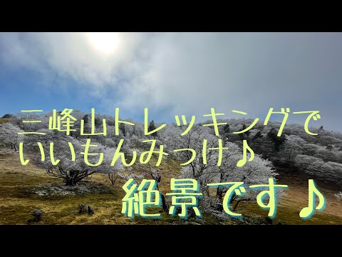 三峰山トレッキングでいいもんみっけ♪