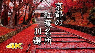 【4K 京都の紅葉🍁30選】鮮やかな極上の名所