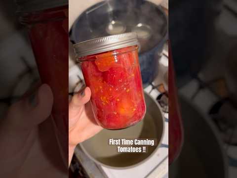 Today on the Homestead: Canning Tomatoes for the First Time | High Altitude Water Bath #shorts