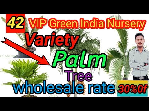 👉42 🌴 🌲 🌱🪴Variety. 👈                                        👉VIP Green India Nursery🌹🥀🌷🌺🥀🌹🌹👈